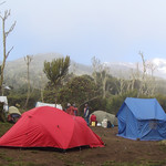 Machame Camp (Hut) - 3010 m we reached in 5.5 hrs