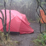 ... to Mweka Camp - 3100 m