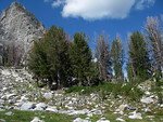 The camp site is one of the most beautiful in the Tetons.